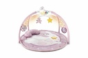 TOY FD ENJOY COLORS PLAYGYM PINK 1-735