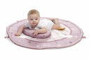TOY FD ENJOY COLORS PLAYGYM PINK 1-735