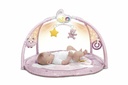 TOY FD ENJOY COLORS PLAYGYM PINK 1-735