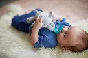 ملهية مع لعبة فيل