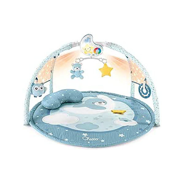 TOY FD ENJOY COLORS PLAYGYM BLUE 1-734  