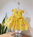 PAMINA YELLOW SUM24/25.....3