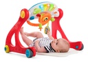GROW AND WALK GYM 4 IN 1 1-747 (copy)